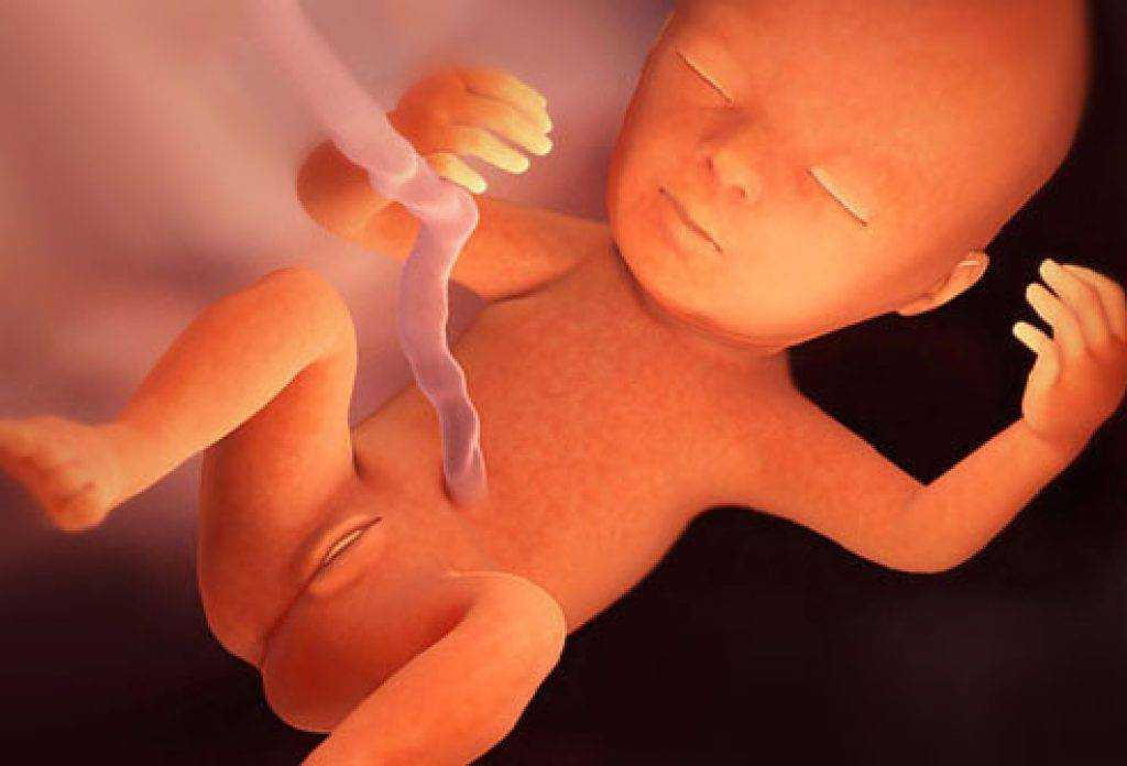 18 неделя беременности - ощущения и фото — евромедклиник 24
