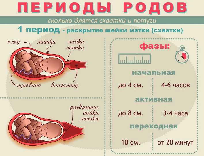 33 недели беременности что происходит с плодом сколько осталось до родов вес малыша