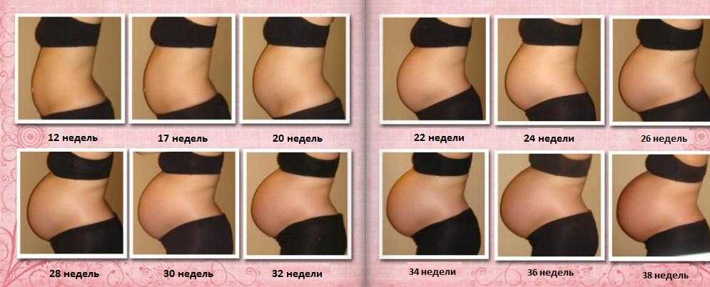 2 месяц беременности: живот на фото, признаки после зачатия, симптомы и ощущения, размер плода