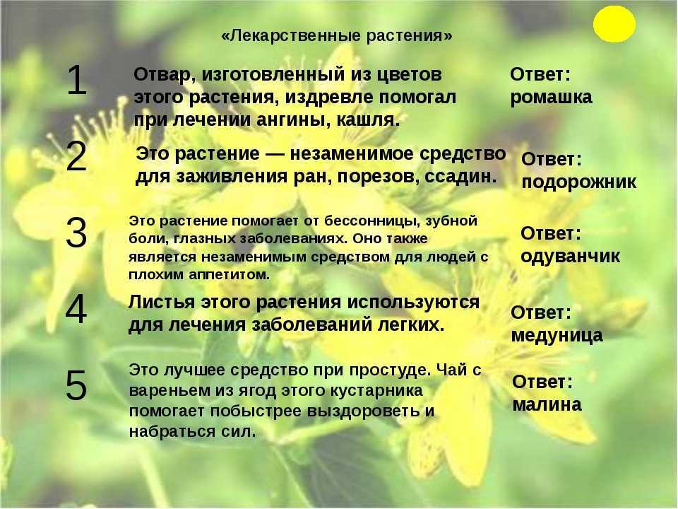 Загадки про школьные принадлежности. детский портал солнышко solnet.ee