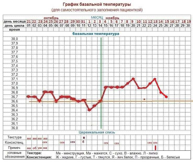 ᐉ норма базальной температуры на ранних сроках беременности. график базальной температуры при беременности до задержки - ➡ sp-kupavna.ru