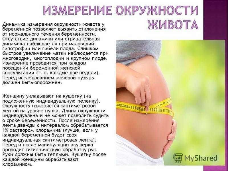 Окружность живота при беременности по неделям норма