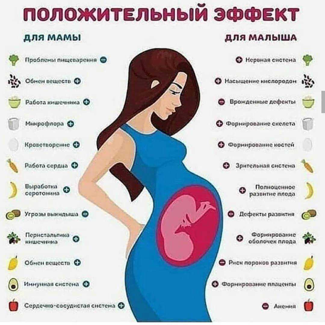 Шпинат при беременности позволяет справиться с токсикозом и восстановить дефицит железа Нельзя употреблять шпинат тем женщинам, что страдают болезнями почек