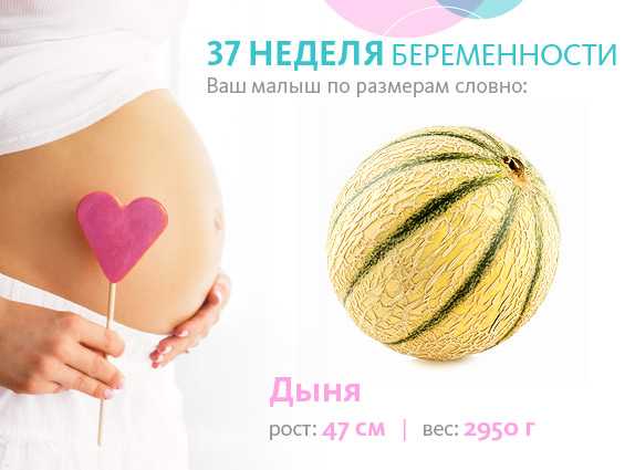 37 неделя беременности развитие плода вес и рост что происходит какие выделения на 36 неделе