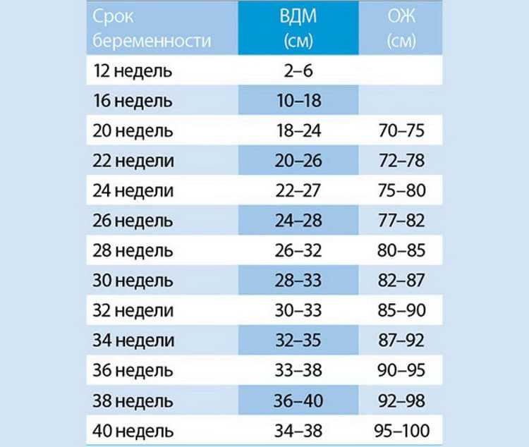 ᐉ вдм увеличивается. какова норма значения вдм по неделям беременности? почему высота матки по неделям беременности больше нормы - ➡ sp-kupavna.ru