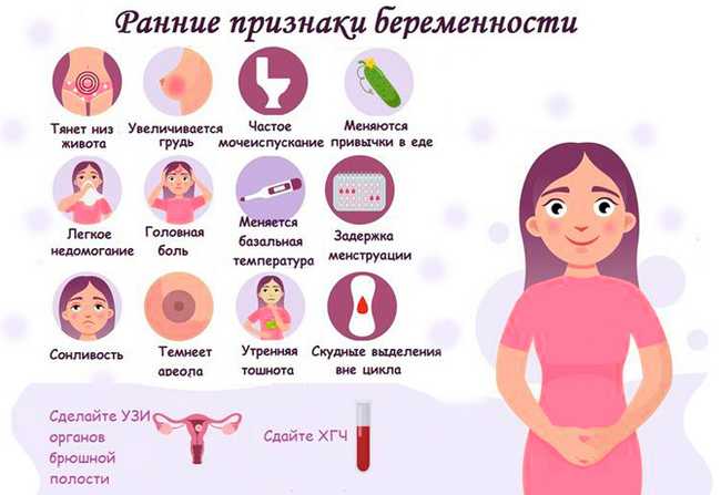 Первые признаки беременности по груди — как определить беременность по груди