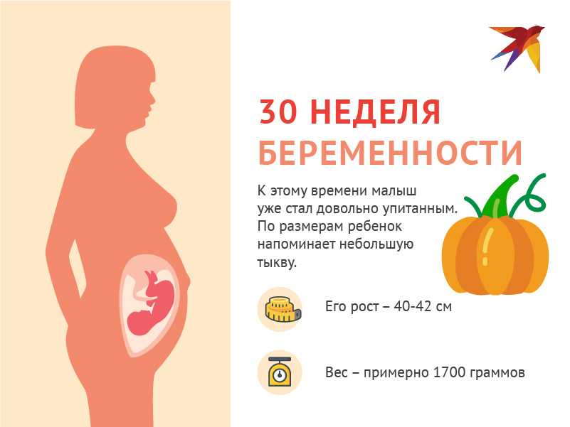 Развитие плода по неделям беременности