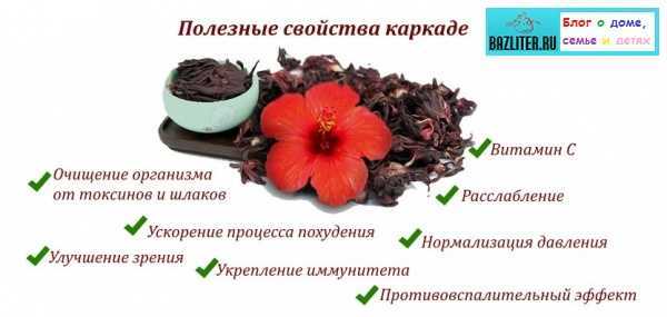 Чай из цветков гибискуса обладает массой полезных свойств Полезен каркаде при беременности или опасен