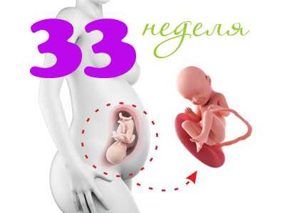 33 неделя беременности - что происходит с плодом и что чувствует женщина
