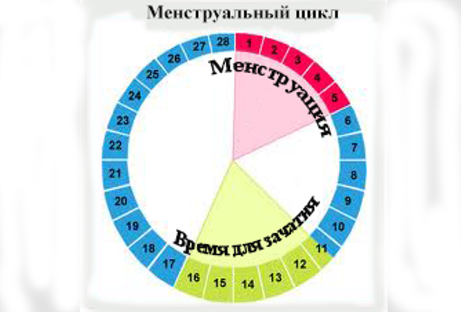 Безопасные дни цикла: календарный метод предохранения от беременности, как рассчитать сроки, чтобы не забеременеть при незащищённом акте | balproton.ru