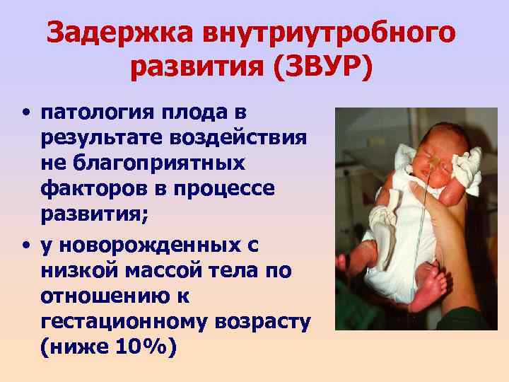 11 неделя беременности - вес и размер плода, фото, живот и шевеления на 11 неделе | doctorfm.ru