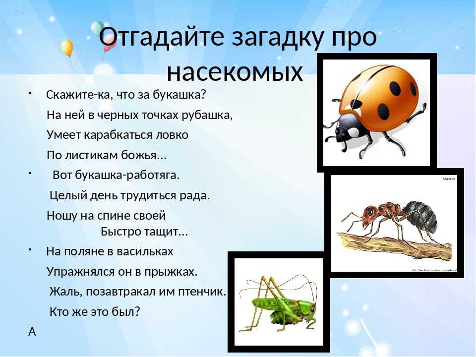 Загадки для детей ✅ блог iqsha.ru