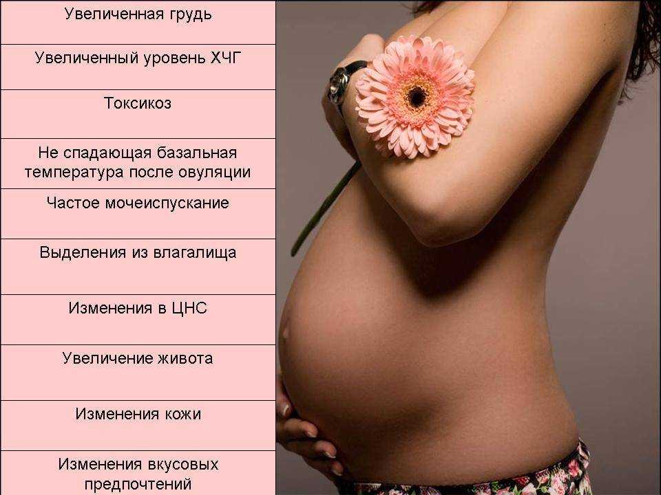 На каком сроке беременности начинают болеть молочные железы, появляется чувство жжения и тянет в груди