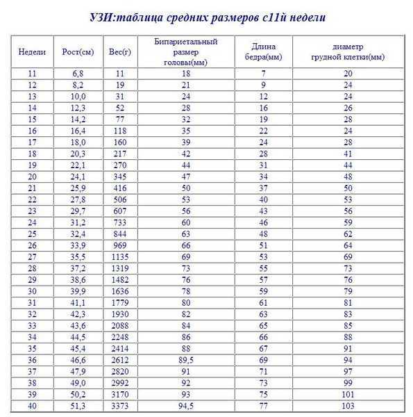 Бпр (бипариетальный размер) головки плода: таблица по неделям беременности, норма и отклонения / mama66.ru