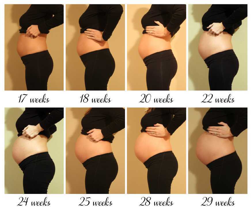 Ребенок на 2 месяце беременности