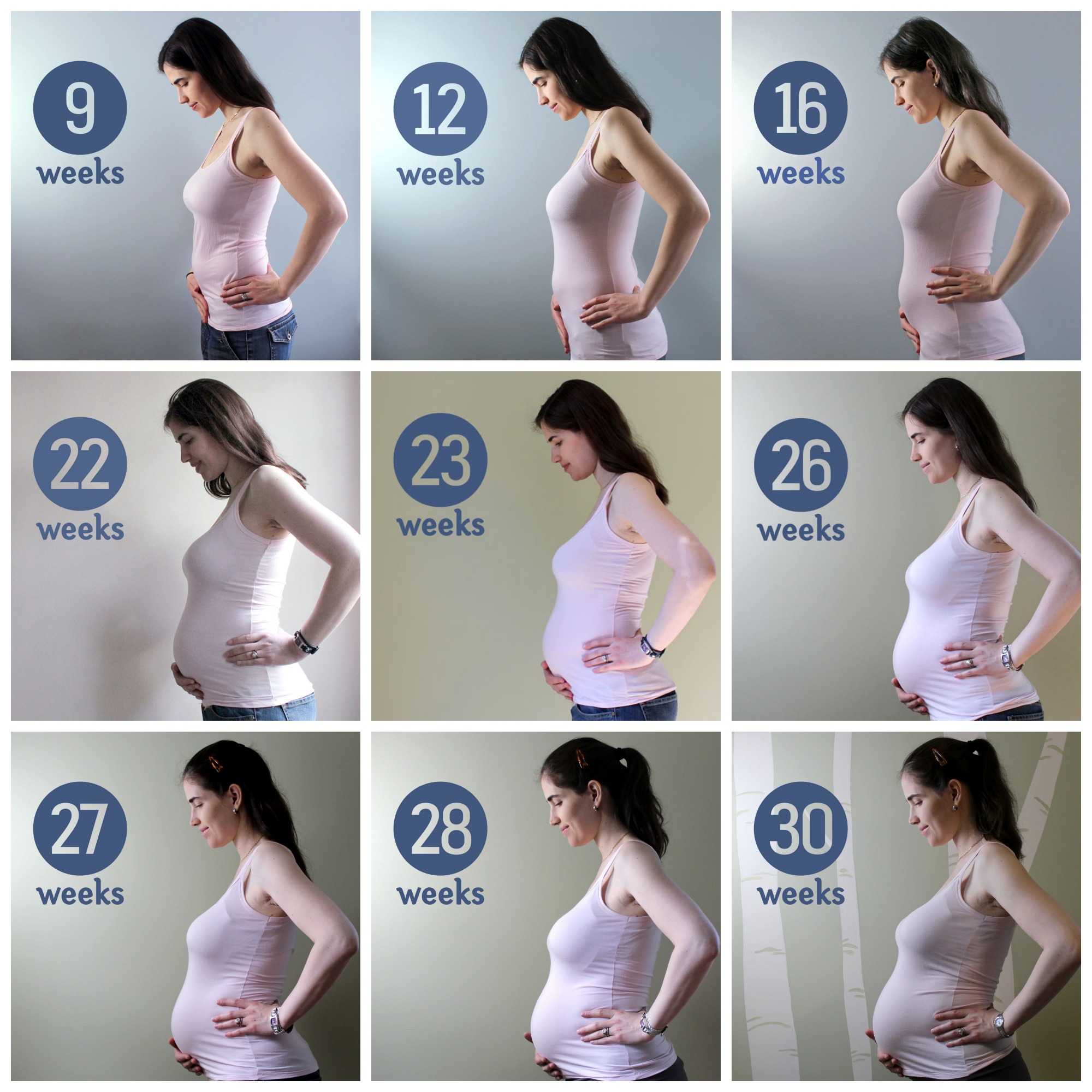На каком месяце беременности начинает появляться живот: рост живота у беременных по неделям с фото | qulady