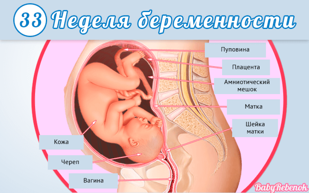 32 неделя беременности - живот, шевеления, развитие плода, фото, узи на 32 неделе | doctorfm.ru