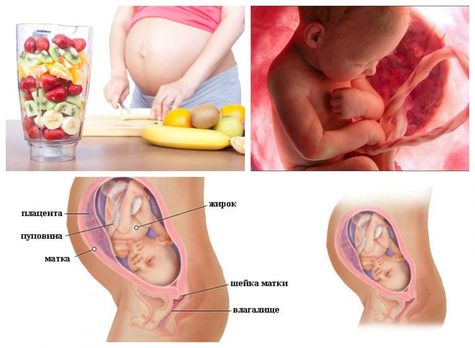 31-я акушерская неделя беременности: состояние мамы и плода