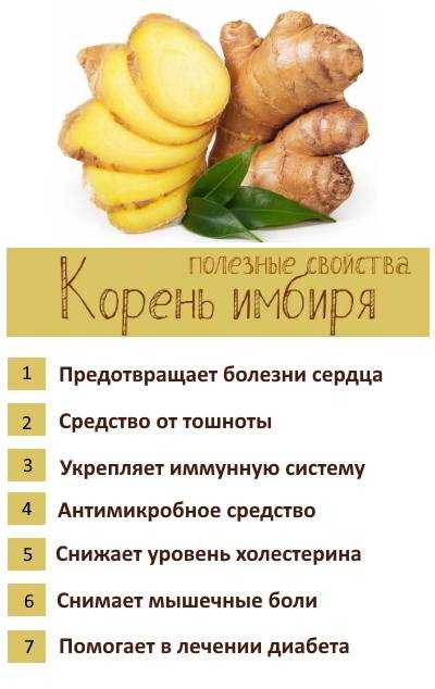 Польза и вред имбирного чая