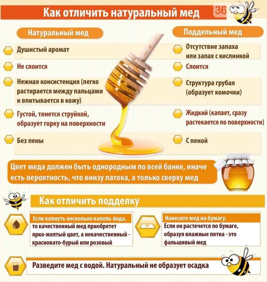 Как проверить мёд на натуральность и качество в домашних условиях