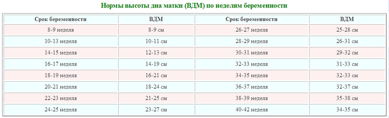 Размеры матки по узи при беременности: норма цервикометрии (шейки матки)