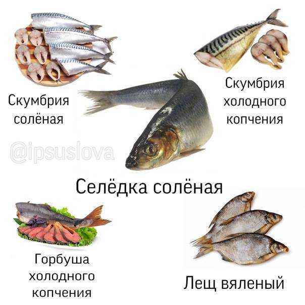 Можно ли сёмгу кормящей маме? | уроки для мам