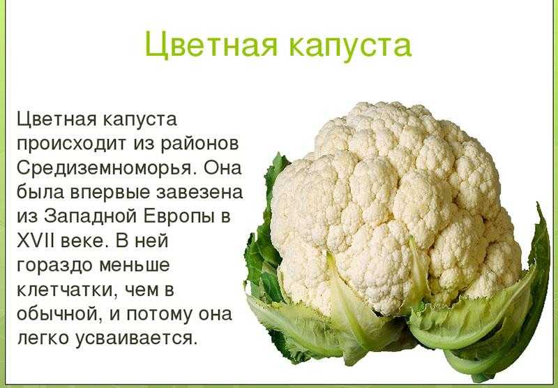 Цветная капуста при грудном вскармливании: можно ли кормящей маме в первый месяц и далее