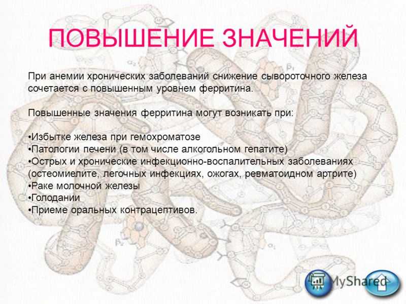 Сывороточное железо — норма для женского организма, дефицит, восполнение недостатка