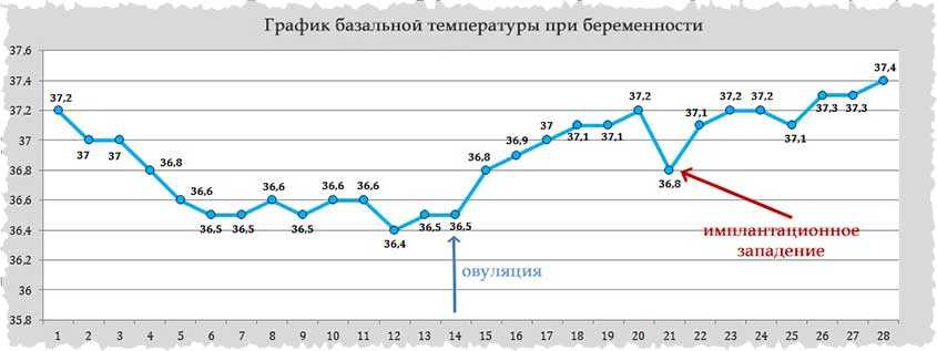 Базальная температура при беременности: какая должна быть, как составить ее график?