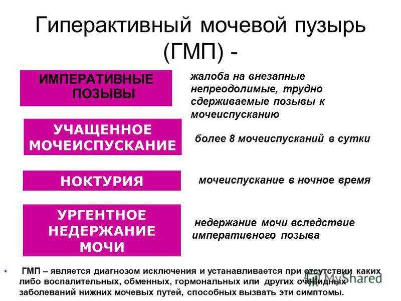 Как быстро высушить обувь после дождя