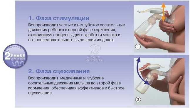 Как пользоваться молокоотсосом ручным и зачем он нужен?