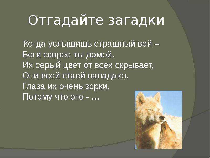Загадки