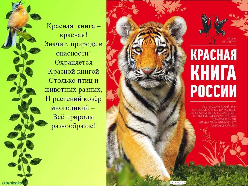 Красная книга россии читать онлайн с картинками