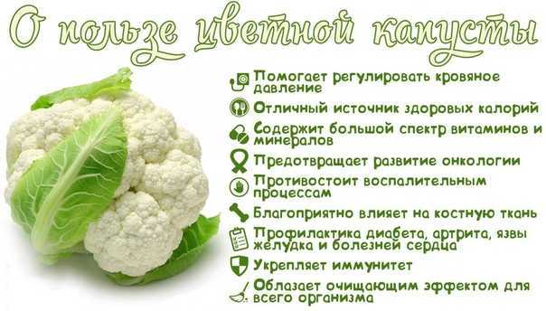 Можно ли капусту кормящей маме? | уроки для мам