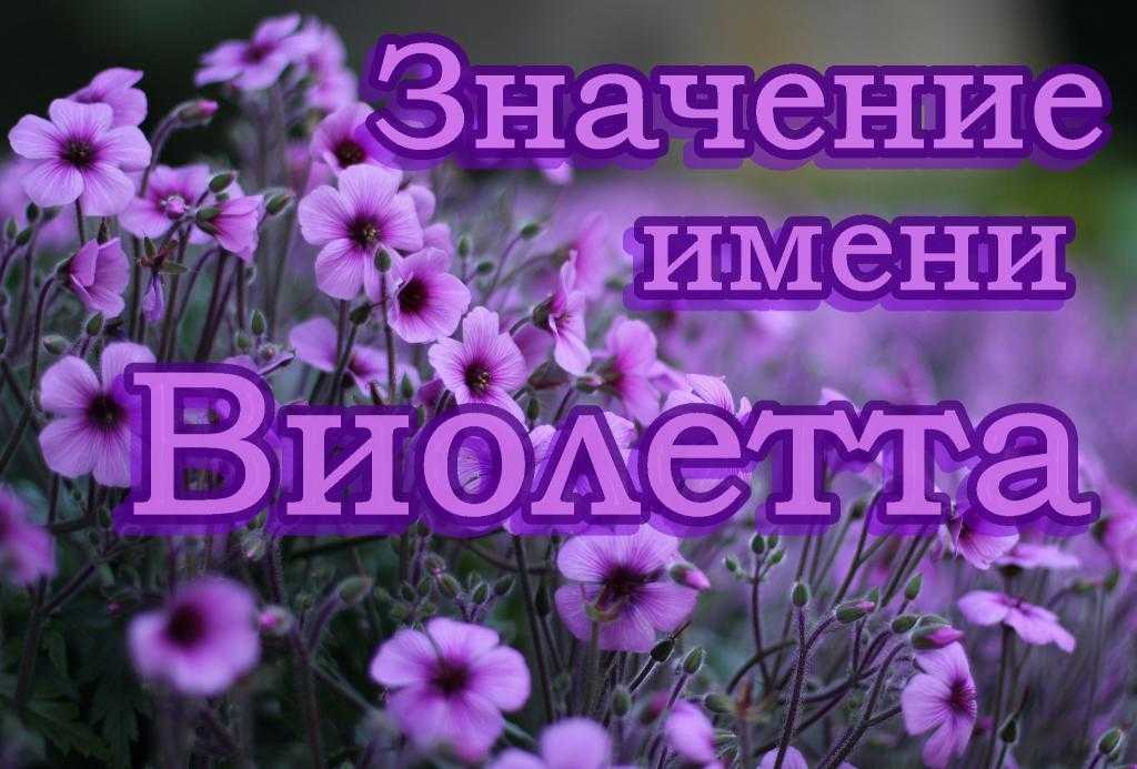 Виолетта: имя для девочки, значение, характер и судьба