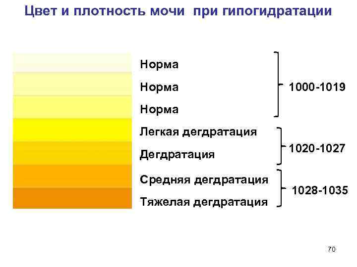 Мутная моча при беременности