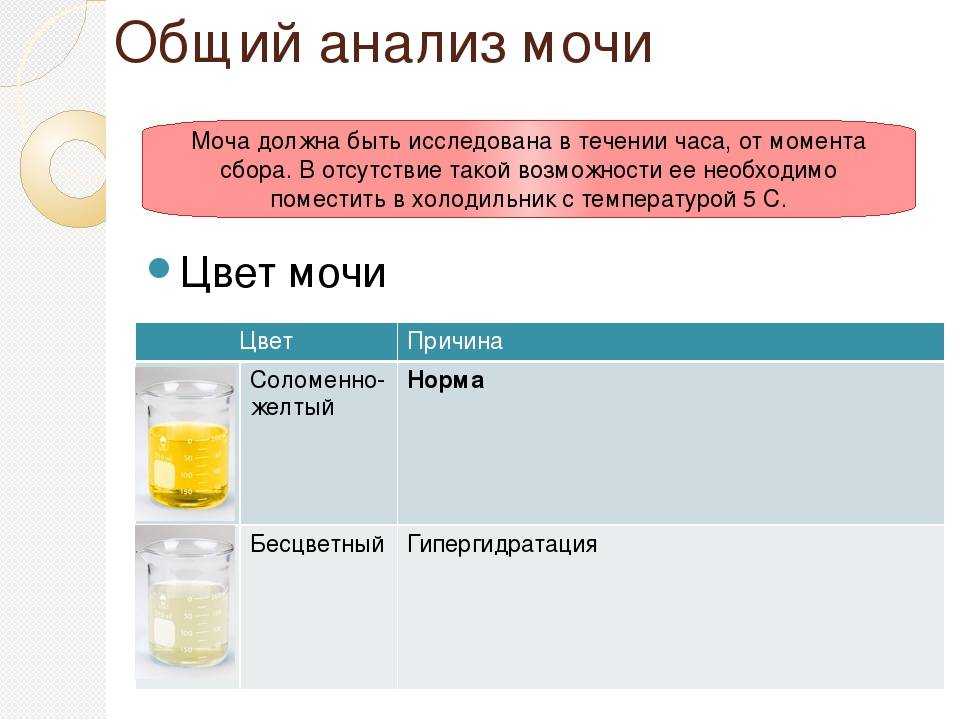 Сопровождение беременности у женщин, страдающих болезнями почек * клиника диана в санкт-петербурге