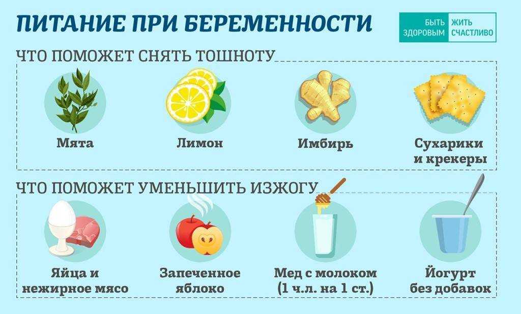 Избыточный бактериальный рост в тонкой кишке - синдром излишнего бактериального роста (сибр, sibo) | университетская клиника