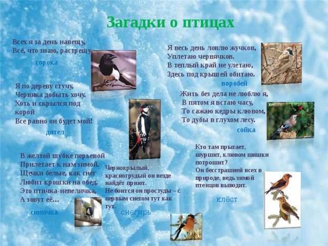 Загадки про лето для детей с ответами: 140 лучших загадок для дошкольников и учеников 1-2 классов / mama66.ru