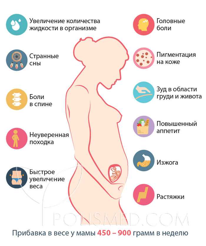 Когда начинает болеть грудь при беременности?