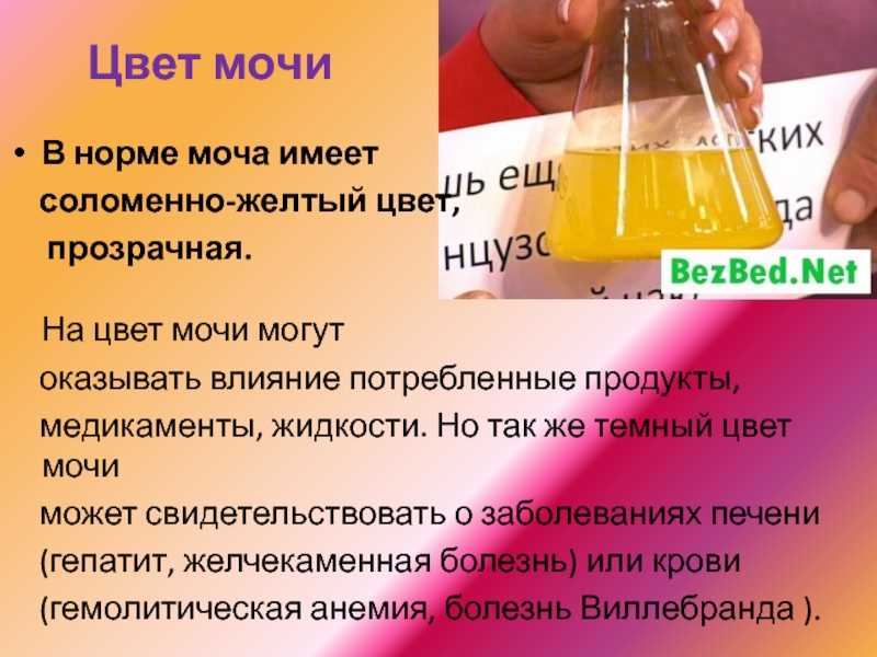 Полиурия — каковы причины повышенного объема выделяемой мочи
