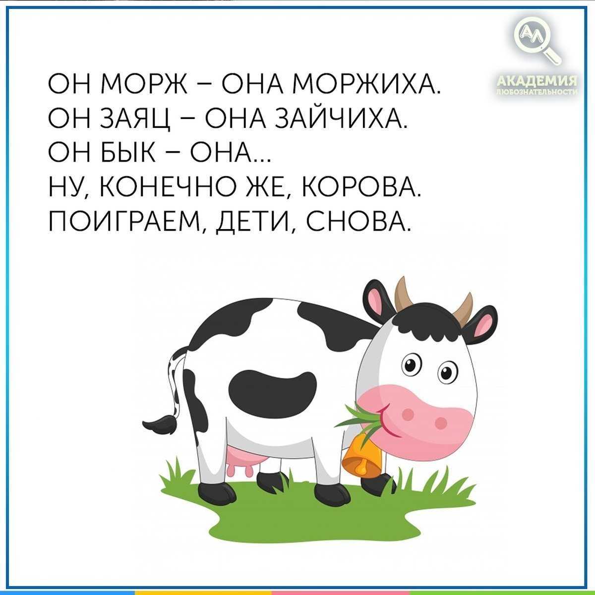 Обитает среди леса ярко-рыжая принцесса. загадки про лису для детей