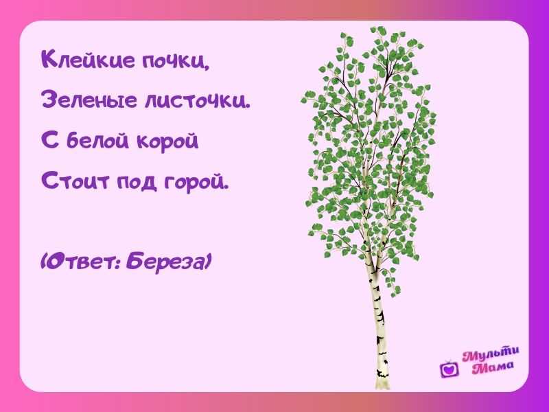 Загадки про деревья