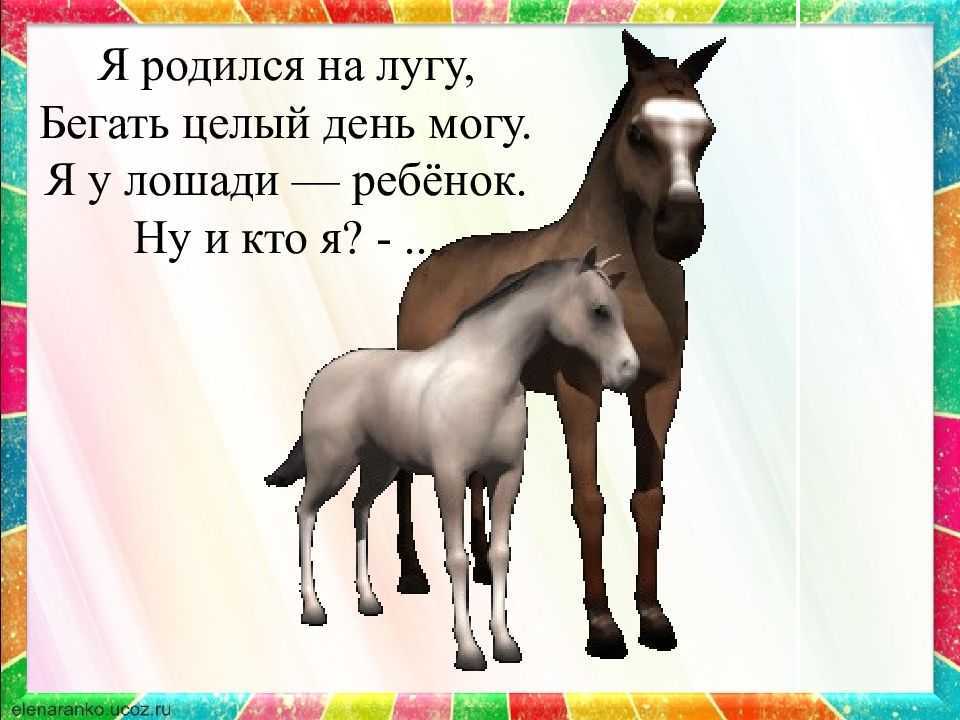 Загадки про дорогу и улицу для детей — 55 головоломок с ответами