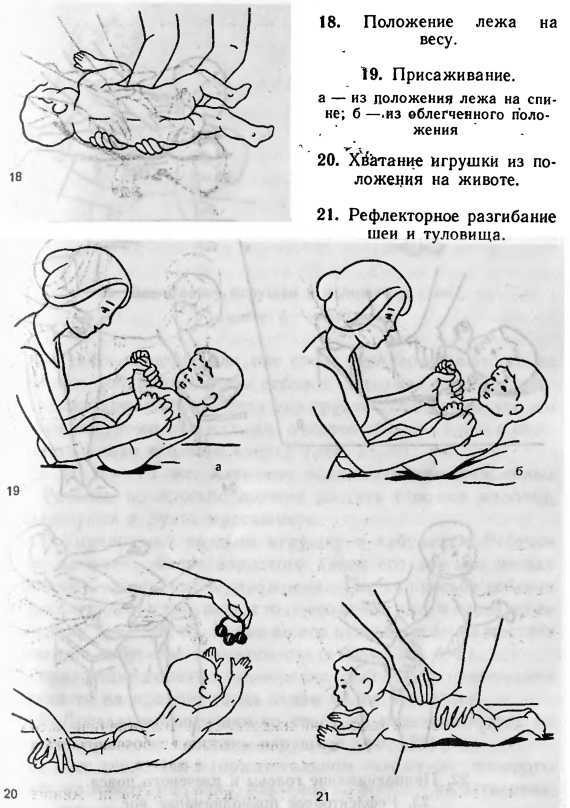 Во сколько месяцев можно сажать девочку?