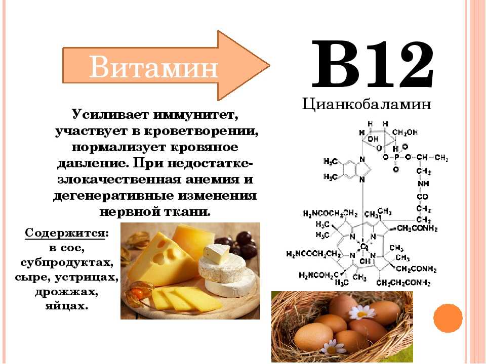 В12 в растительной пище. то, что должен знать каждый веган о витамине b12