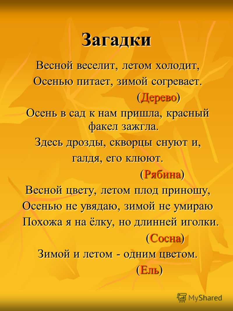 Осенью веселит летом. Загадки. Загадка весной веселит летом холодит осенью питает зимой согревает. Весной веселит летом холодит загадка. Короткие загадки.