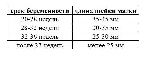 Истмико-цервикальная недостаточность - что это такое | центр медицины плода на чистых прудах