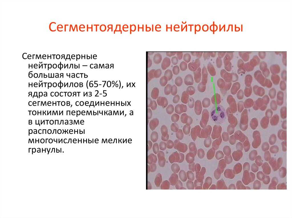 Ревматологическое обследование