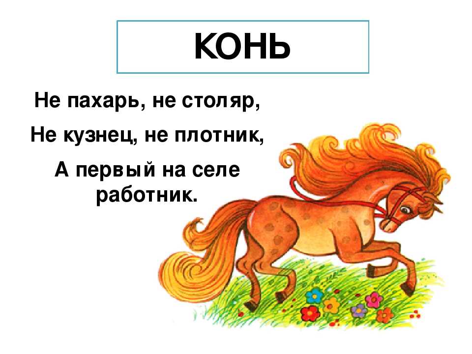 Найти подкову: примета, магическая сила, сломанная, дарят ли, где разместить, как вешать